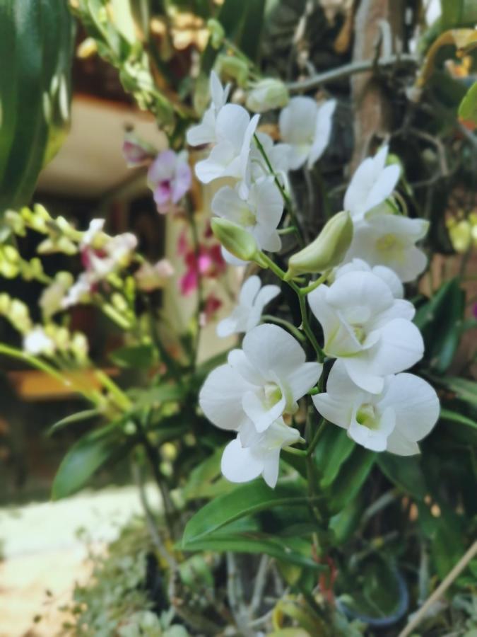 בנגקוק Tavee Guesthouse מראה חיצוני תמונה